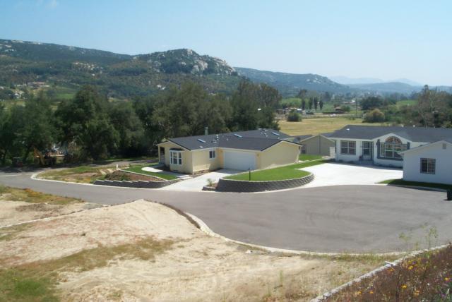 Distant Culdesac Oak Tree